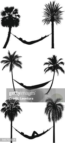 sechs palmen und drei hängematten - hammock-between-palm-trees stock-grafiken, -clipart, -cartoons und -symbole