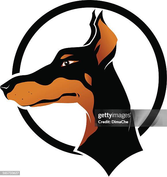 doberman - miniature pinscher stock illustrations
