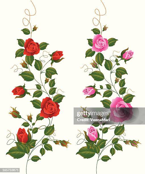 red and pink rose vine. - corner marking 幅插畫檔、美工圖案、卡通及圖標