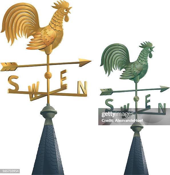 two weathercocks - weather vane stock illustrations
