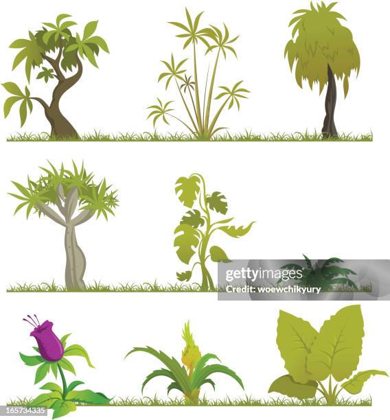 stockillustraties, clipart, cartoons en iconen met cartoon forest (jungle2) - equator line