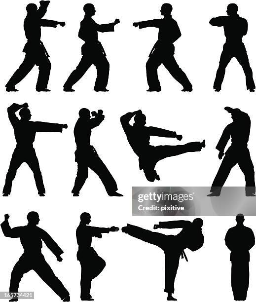 ilustraciones, imágenes clip art, dibujos animados e iconos de stock de siluetas de taekwondo - judo