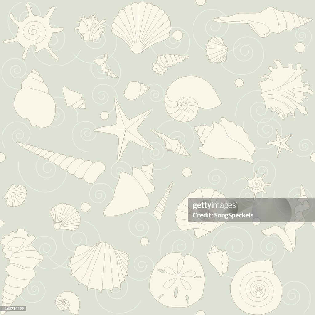 Seashells Seamless Pattern