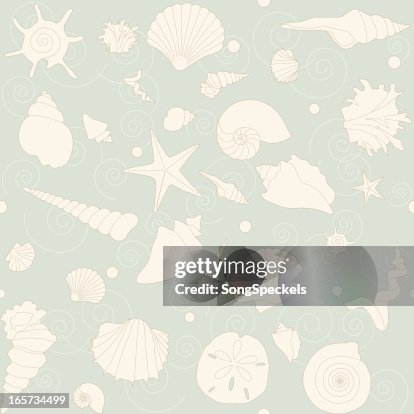 Seashells Seamless Pattern Seashells Seamless Pattern