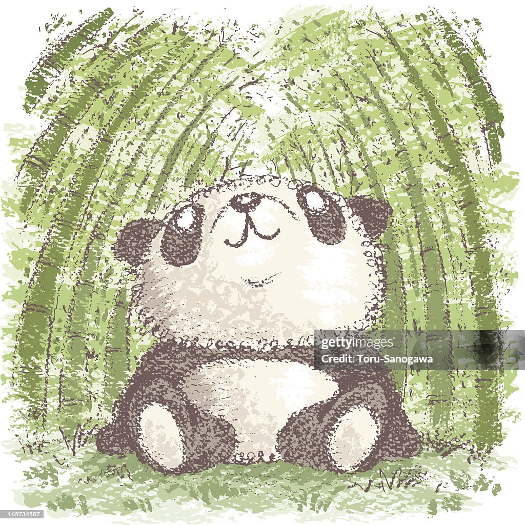 Oso Panda En Bosque De Bambú Ilustración de stock - Getty Images