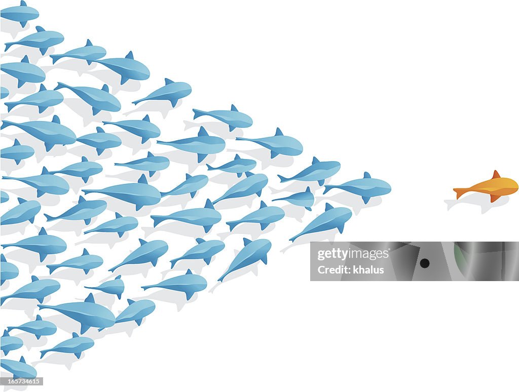 Fish | Follow the Leader