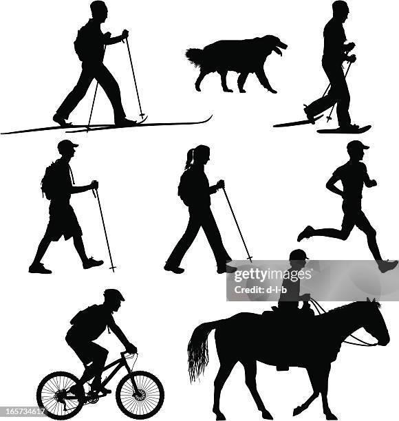 multi-use trail users - hike bike run ski horse - dog stock illustrations stock illustrations