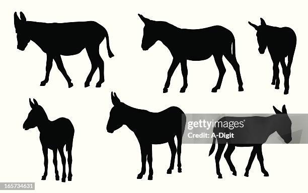 eseln geführt werden - donkey stock-grafiken, -clipart, -cartoons und -symbole