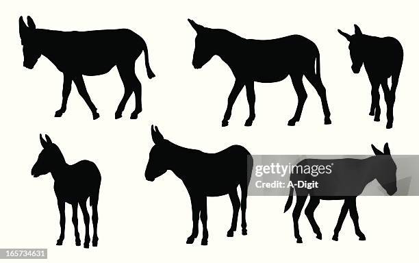ilustraciones, imágenes clip art, dibujos animados e iconos de stock de burros - donkey