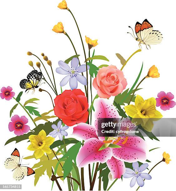 season flower - aporia crataegi stock illustrations