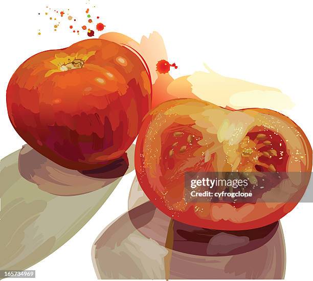 tomato - raw acrylic stock illustrations