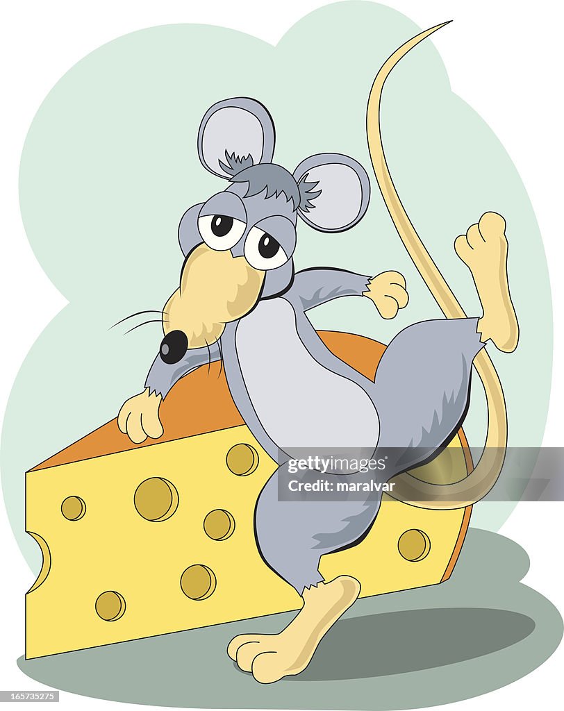 Mouse cheese