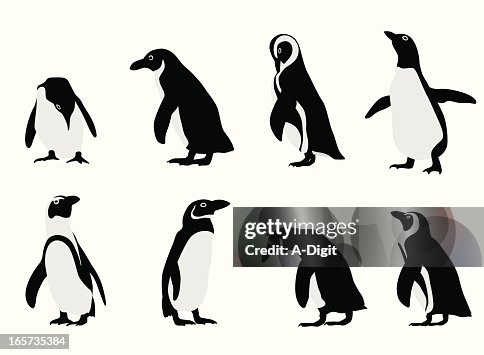 Penguins Vector Silhouette Penguins Vector Silhouette