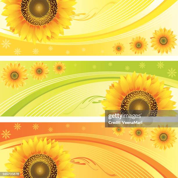 492 Single Color Gradient Background High Res Illustrations - Getty Images