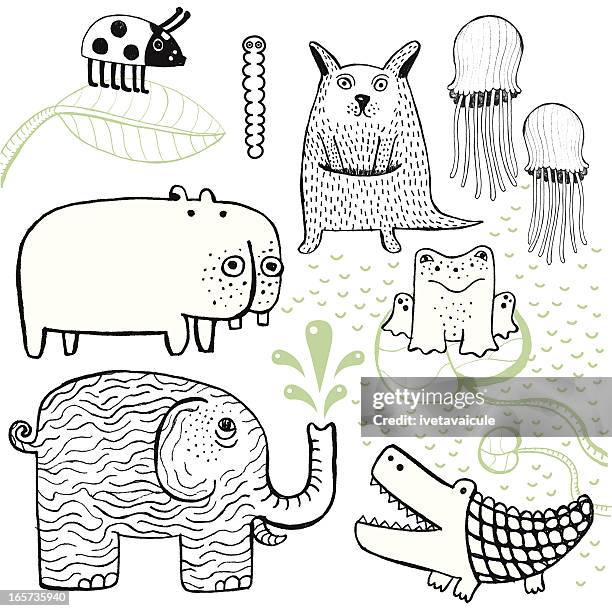 hand drawn animals - ladybug stock illustrations