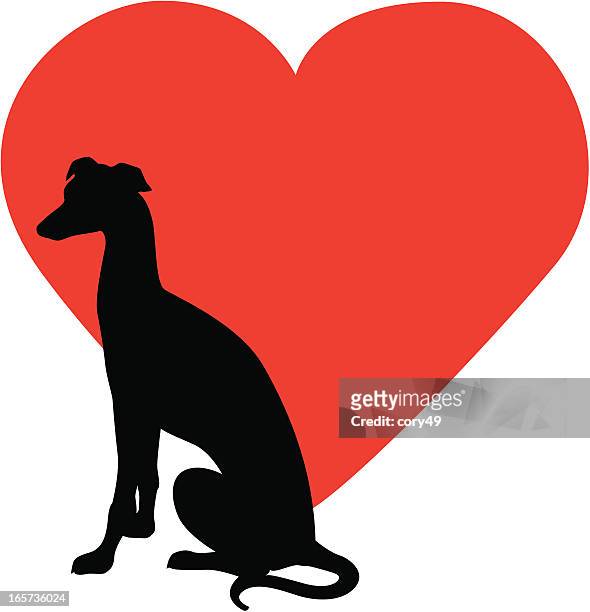 ilustraciones, imágenes clip art, dibujos animados e iconos de stock de greyhound de rescate - greyhound