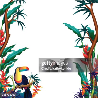 Vertical frontières tropical Vertical frontières tropical
