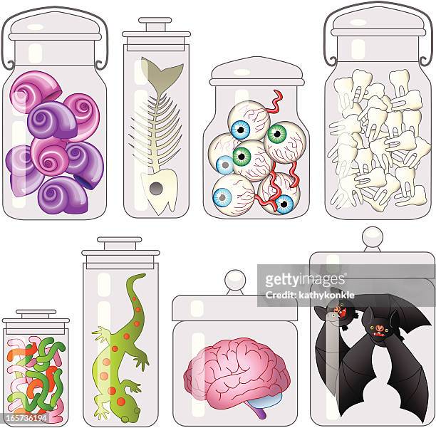 specimen jars - sample holder stock illustrations