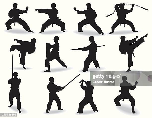 bekannte martial arts - karate stock-grafiken, -clipart, -cartoons und -symbole