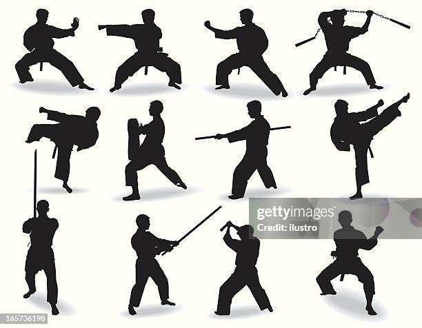 ilustrações, clipart, desenhos animados e ícones de conhecido artes marciais - dojo