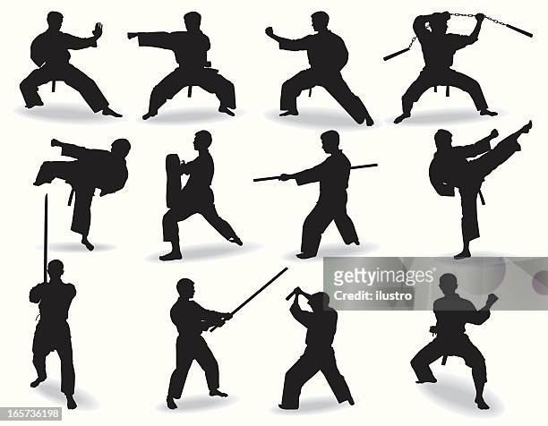 well-known martial arts - martial arts stock illustrations