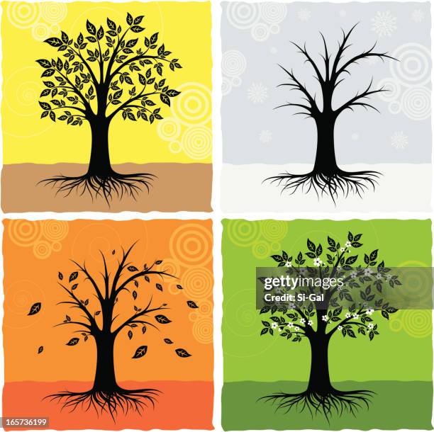 tree in four seasons - tree seasons stock illustrations