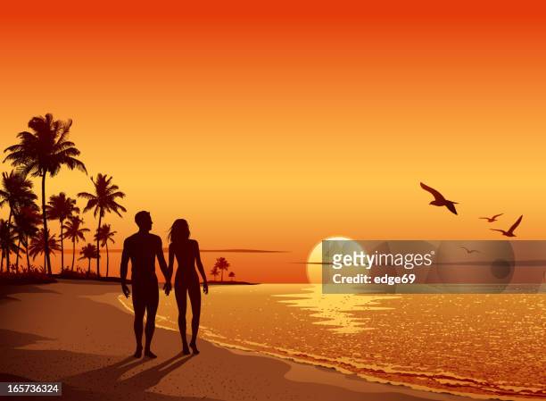 stockillustraties, clipart, cartoons en iconen met couple walking on the beach at sunset - meeuw