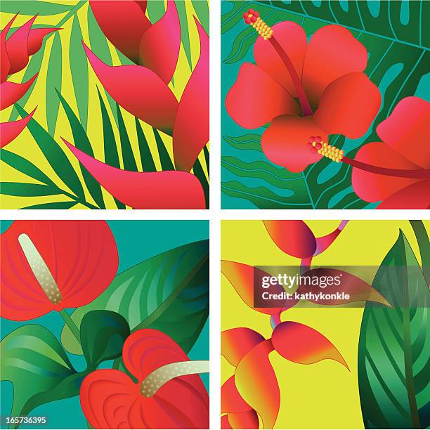 stockillustraties, clipart, cartoons en iconen met tropical flowers - anthurium