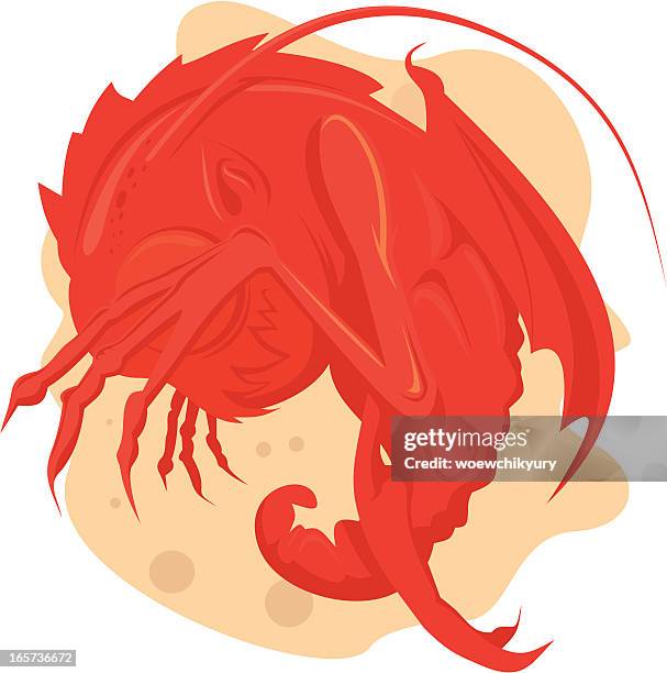 demon embryo - embryo stock illustrations