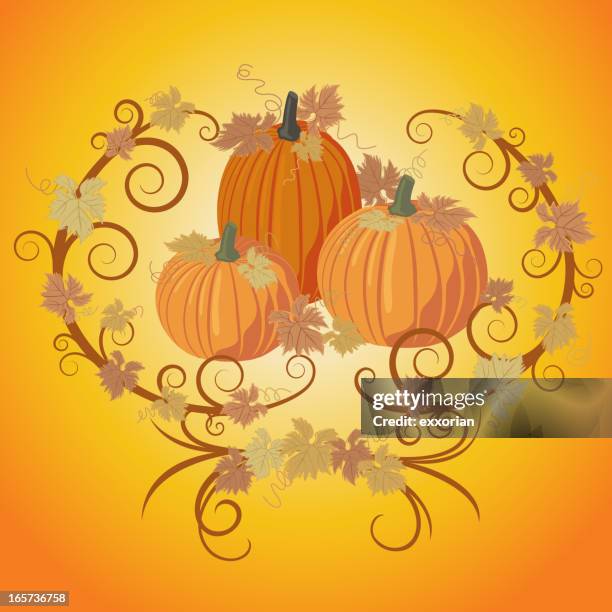 pumpkin vine - liana stock illustrations