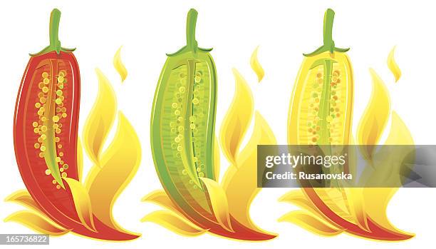 hot peppers in flames - chilli white background stock illustrations