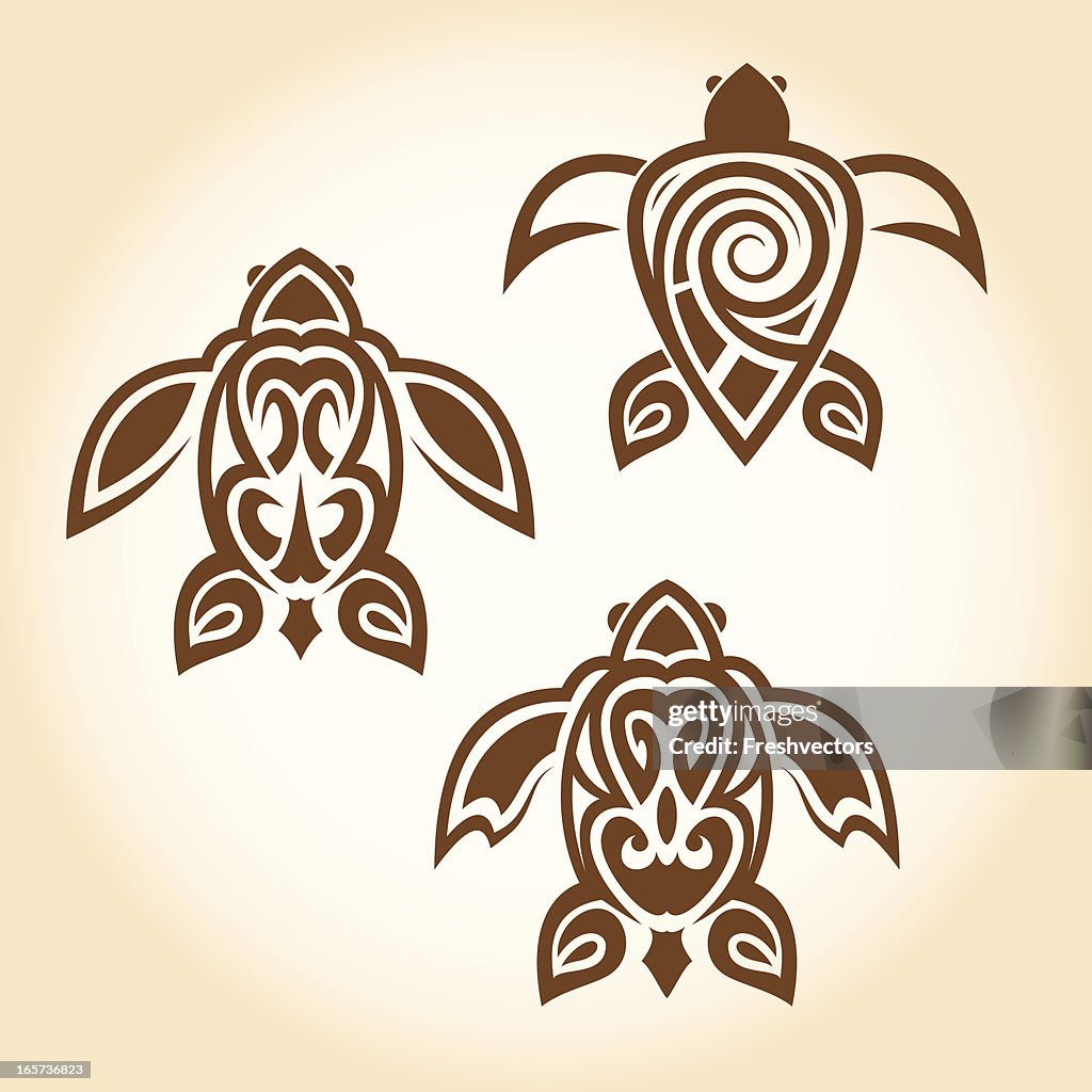 Native Pattern Turtle Native American Turtle Designs: Symbolism, Art, and Cultural Heritage