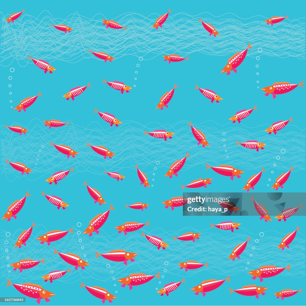 Flock of Red Fish Blue Water