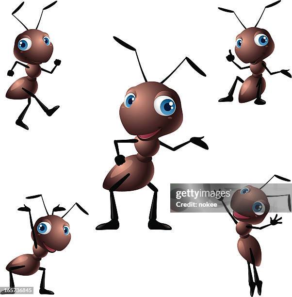 ant - ant stock illustrations