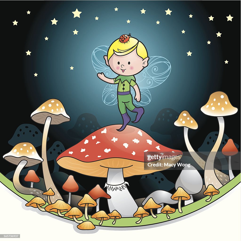 Pixie elf mushroom boy night