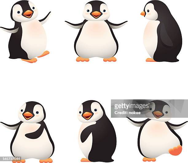 stockillustraties, clipart, cartoons en iconen met cartoon graphics of baby penguins - pinguïn