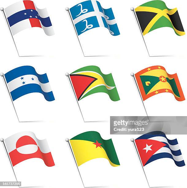 world flags waving - french guiana stock illustrations