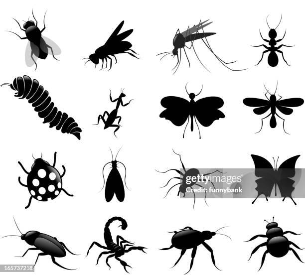 ブラックの昆虫セット - caterpillar点のイラスト素材／クリップアート素材／マンガ素材／アイコン素材