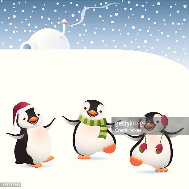 winter penguins - pinguine stock-grafiken, -clipart, -cartoons und -symbole