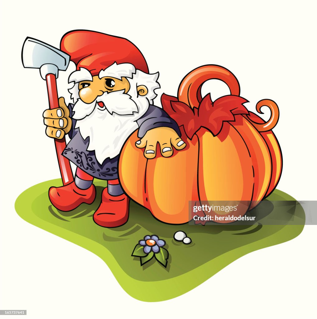 Dwarf harvesting pumpkin