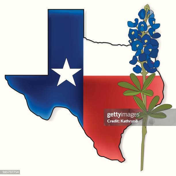 illustrations, cliparts, dessins animés et icônes de fond de drapeau de l'état du texas - fleur emblème