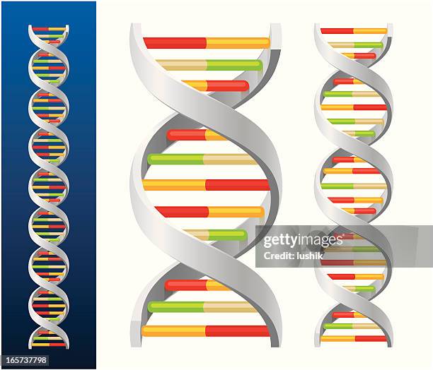 dna helix - 3d dna stock illustrations