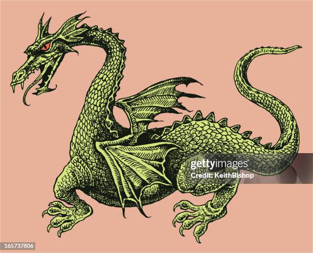 dragon mit roten augen-und flügel-mittelalterlichen - drache stock-grafiken, -clipart, -cartoons und -symbole