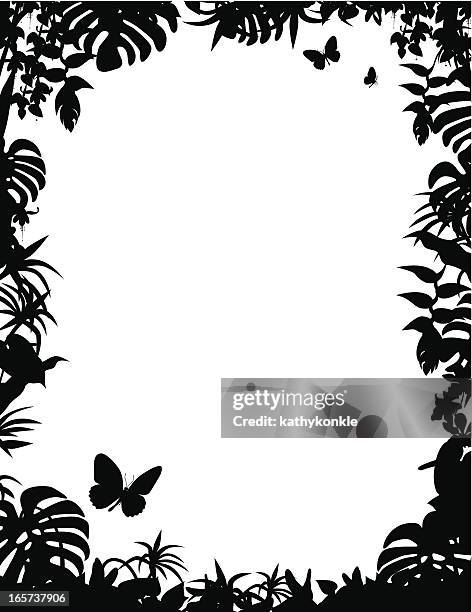 tropical frame - tropical border stock illustrations