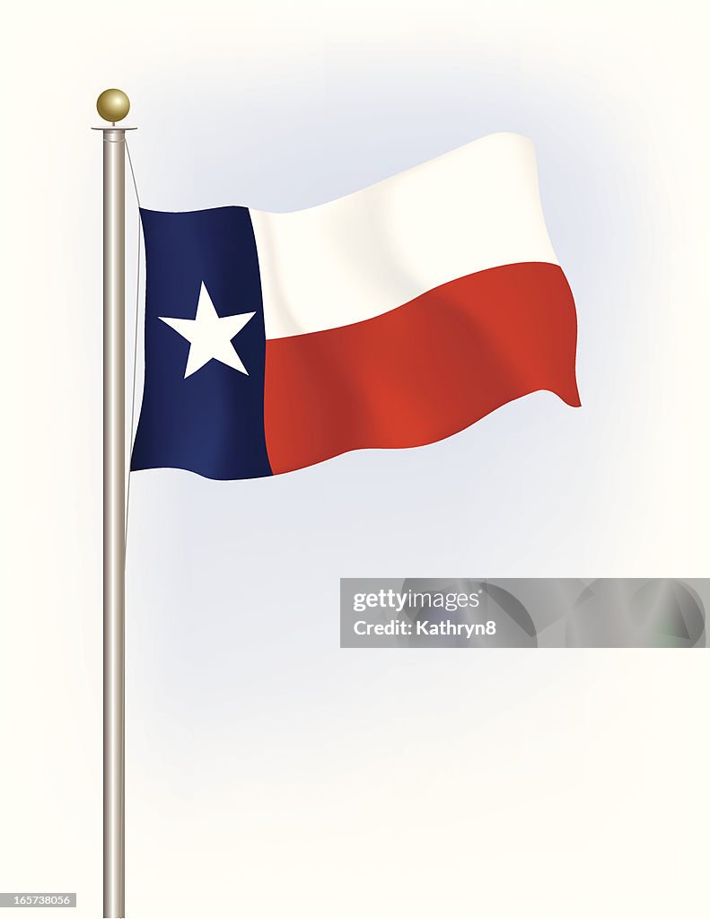 Texas State Flag