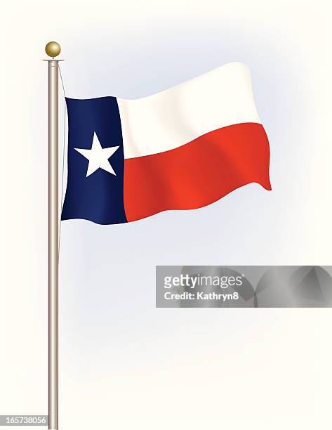 texas state flag - texas state flag stock illustrations