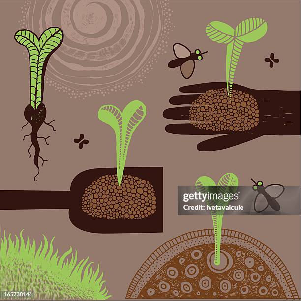 young plants - seedling stock illustrations