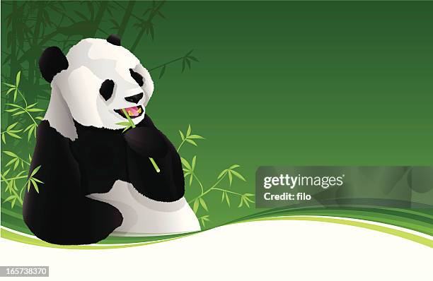 panda background - panda stock illustrations
