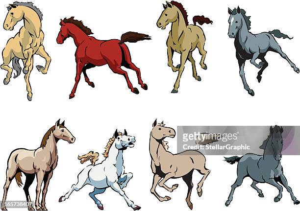 horses - mare 幅插畫檔、美工圖案、卡通及圖標