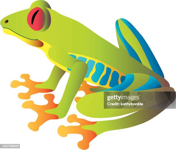 168点のアマガエルイラスト素材 Getty Images 168点のアマガエルイラスト素材 Getty Images